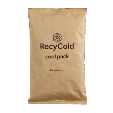 Recycold Eco Gelpack 500